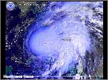 Hurricanes Screen Saver Regged v1.0