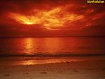 Desktop wallpapers - Nature - Sunset Sunset