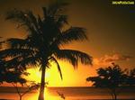 Desktop wallpapers - Nature - Sunset Sunset