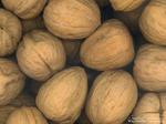 Desktop wallpapers - Food - Nuts Nuts